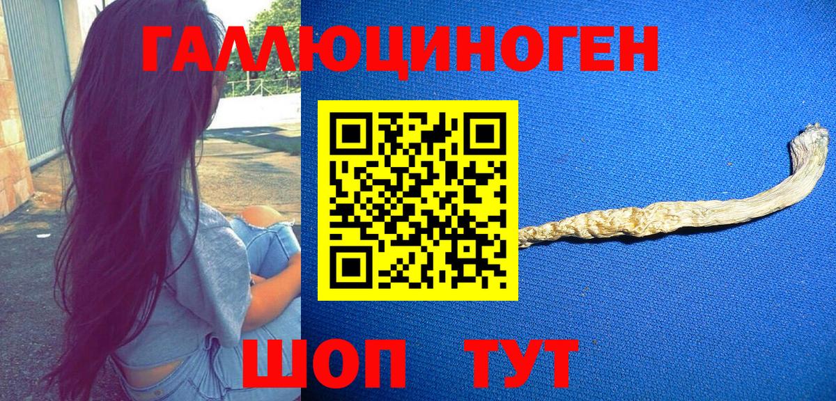 Куйбышев  купить   Псилоцибиновые грибы ЛСД  Вход с VPN  Псилоцибиновые грибы Cubensis 