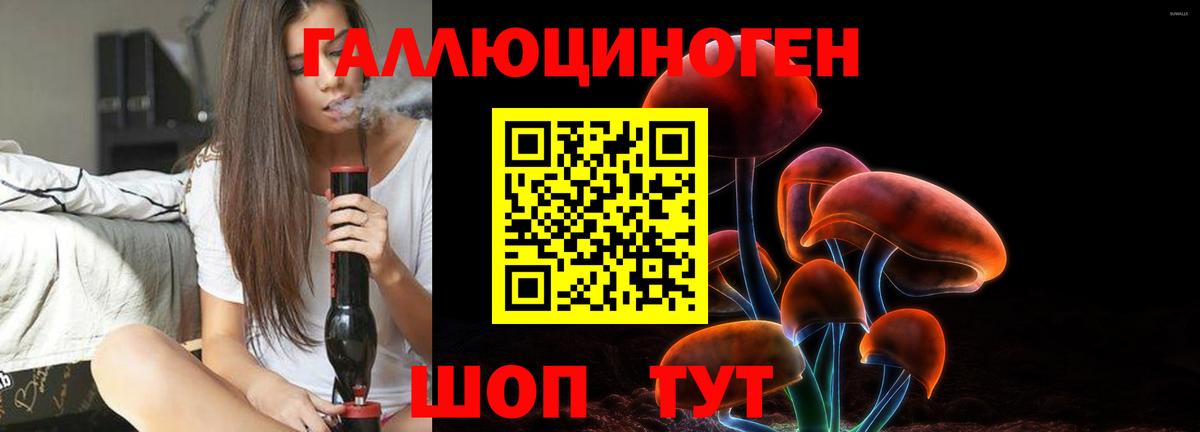 Псилоцибиновые грибы Psilocybine cubensis Куйбышев
